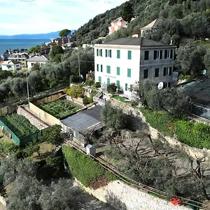 Cav Gli Ulivi Di Parcheggio Privato Gratuito Bogliasco
